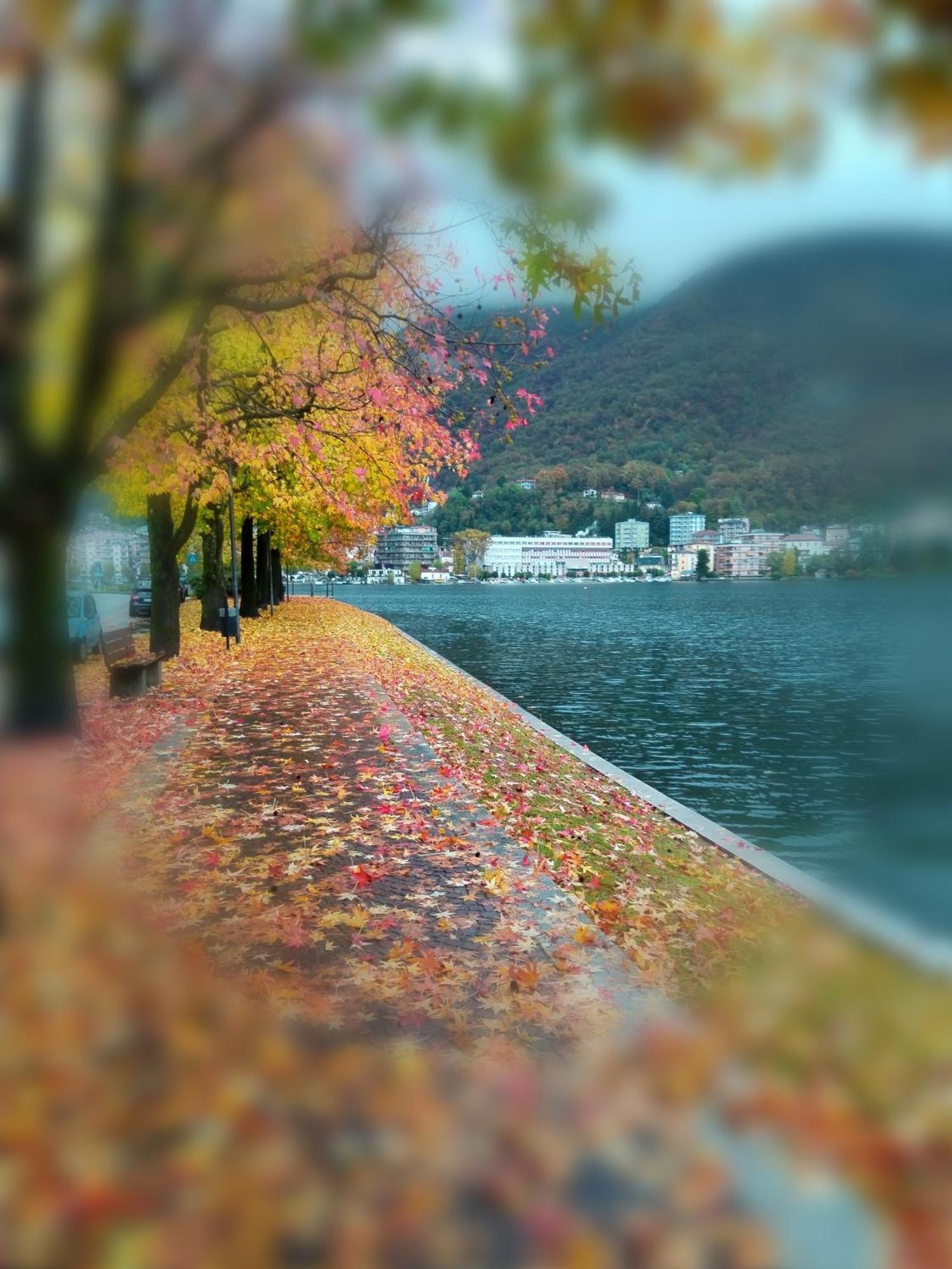 Un Balcone Sul Lago 오메그나 외부 사진
