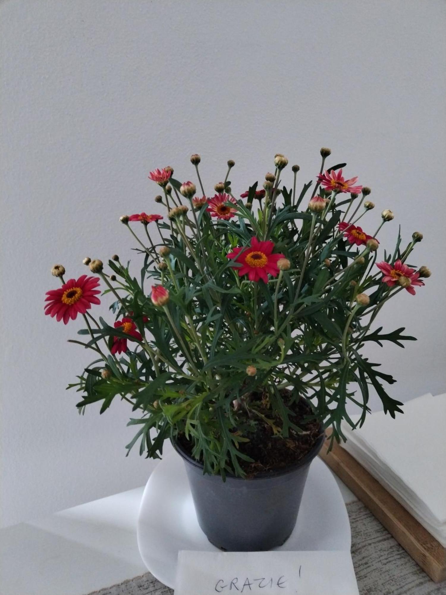 Un Balcone Sul Lago 오메그나 외부 사진