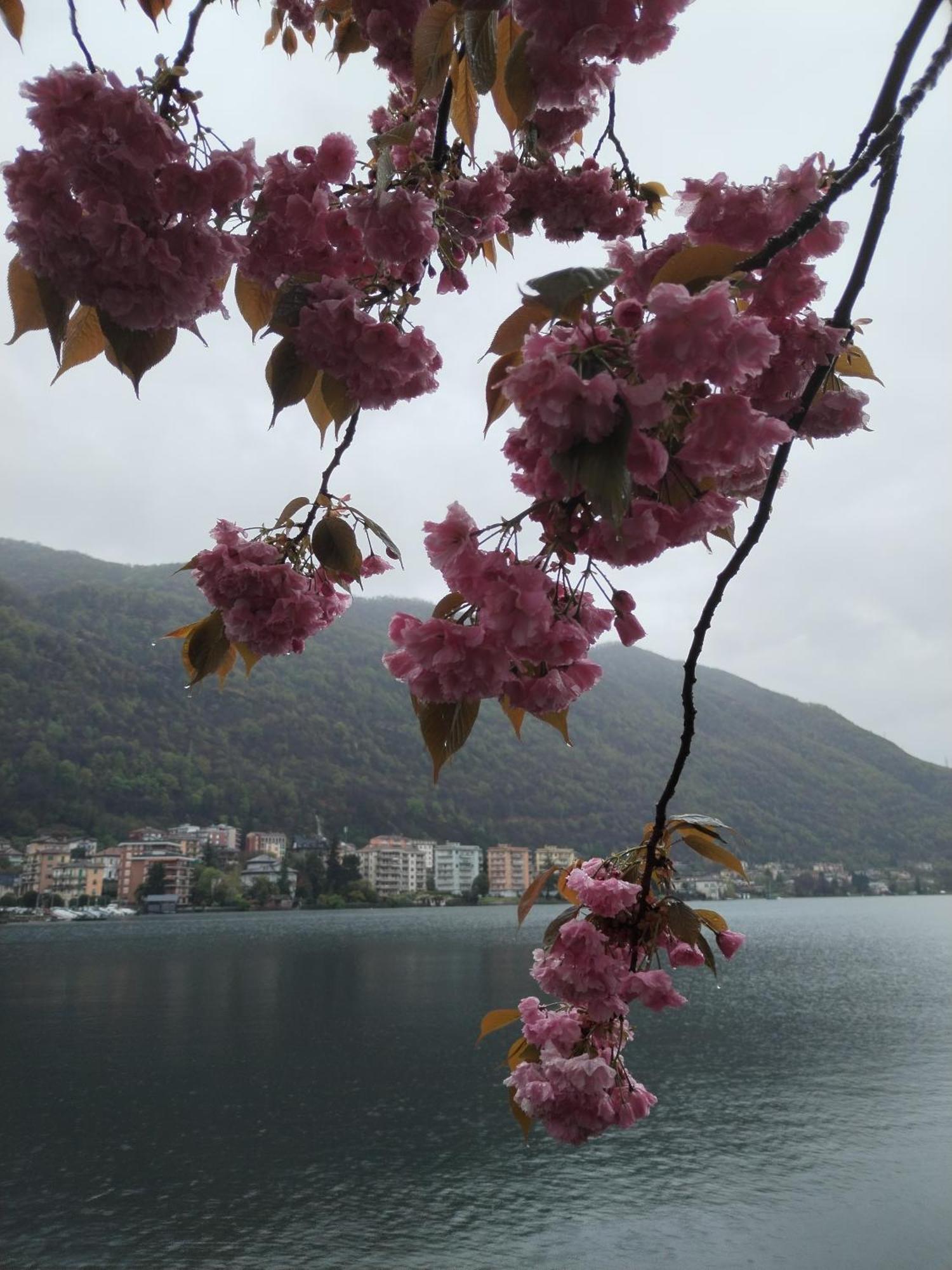 Un Balcone Sul Lago 오메그나 외부 사진