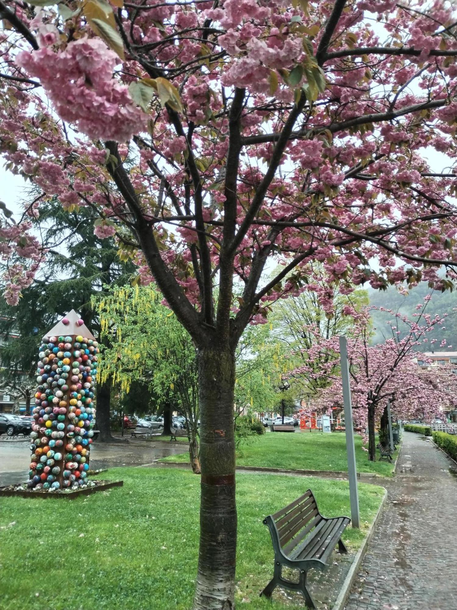 Un Balcone Sul Lago 오메그나 외부 사진